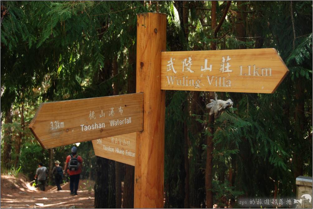 桃山步道登山口的岔路