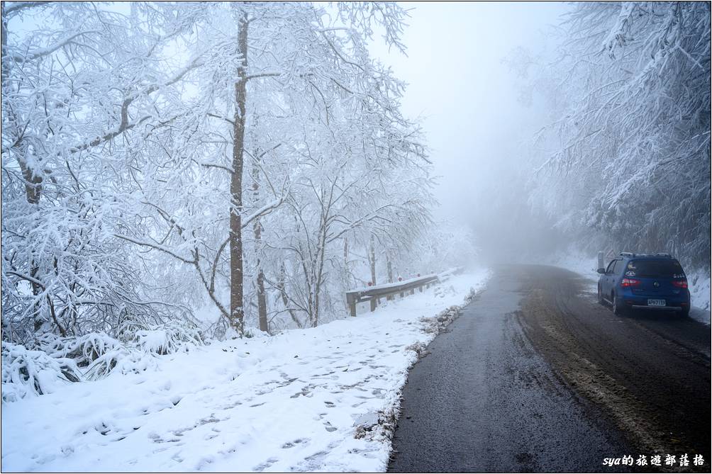 因為一早入園時，對向的路面除了一早走過的產雪車走過外，沒有什麼車潮，因此路面邊上的白雪會保持的較好。