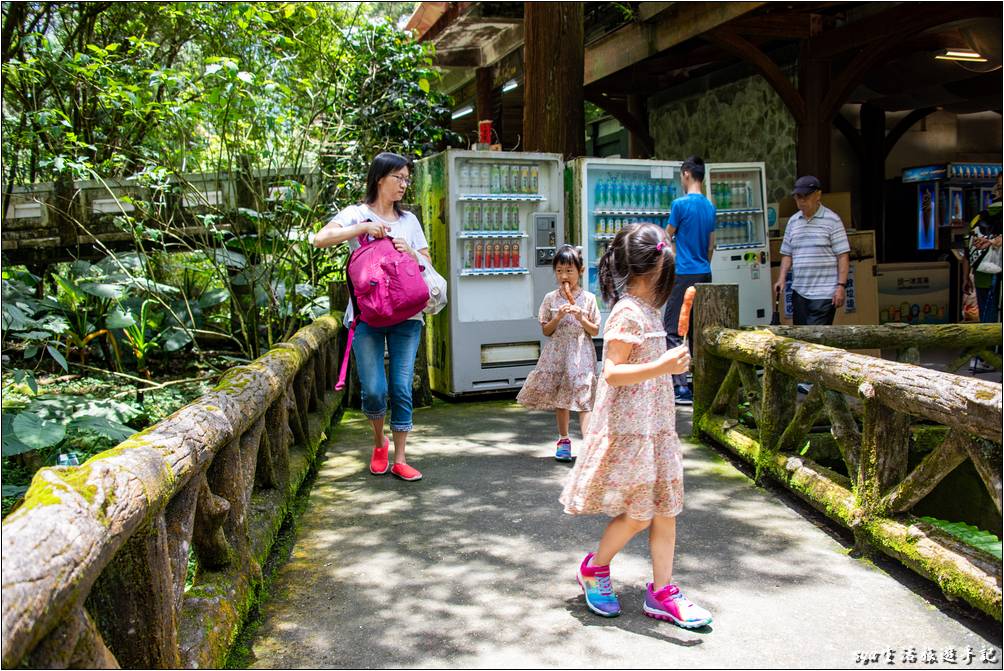 溪頭森林遊樂區 溪頭自然教育園區 大學池 小吃部