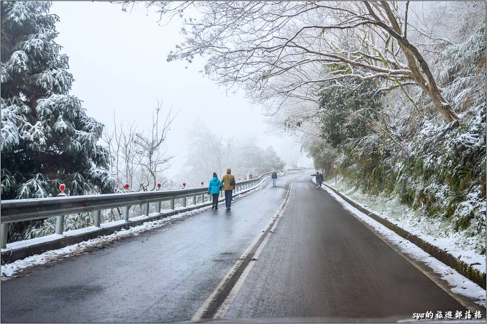 車輛如果沒有安裝雪鏈，也是可以徒步而上賞雪，但如果開始氣候變比較糟想要回程時，你的回程就會走得很辛苦囉！