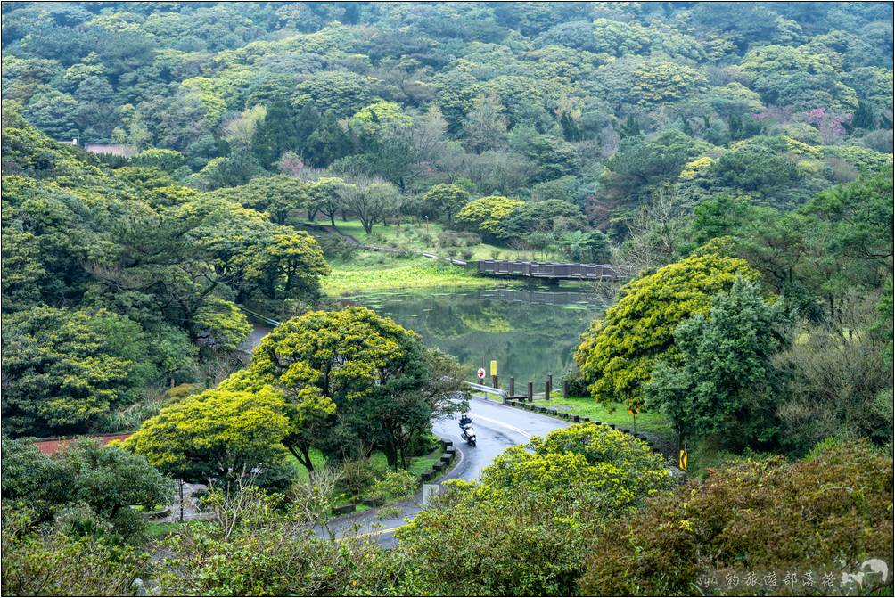 大屯自然公園的大屯池一角