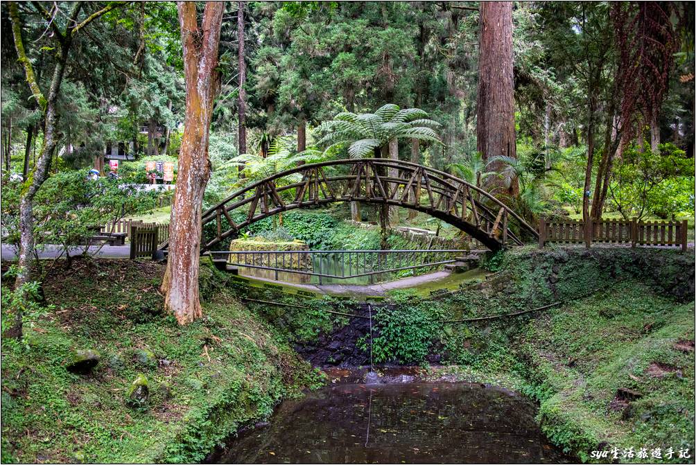 溪頭森林遊樂區 溪頭自然教育園區 園區一景