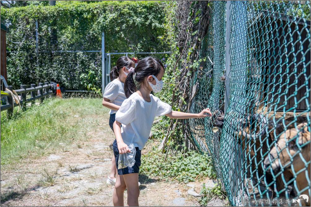 餵養小動物的飼料可以在騎馬體驗的收費處櫃台購買