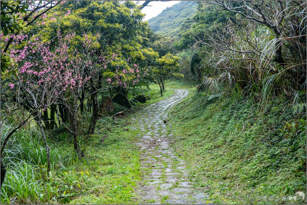 這段步道是一條從大屯第一停車場連接至二子坪步道的連接步道