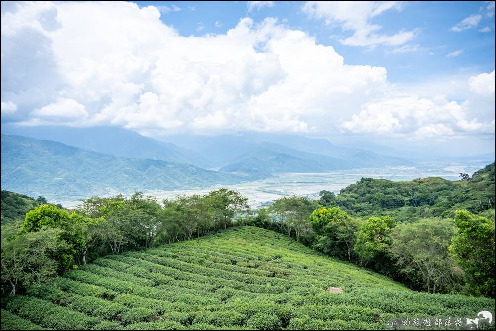 雖然這裡不是六十石山的制高點，但因為地形的關係，仍有非常不錯的視野深度。