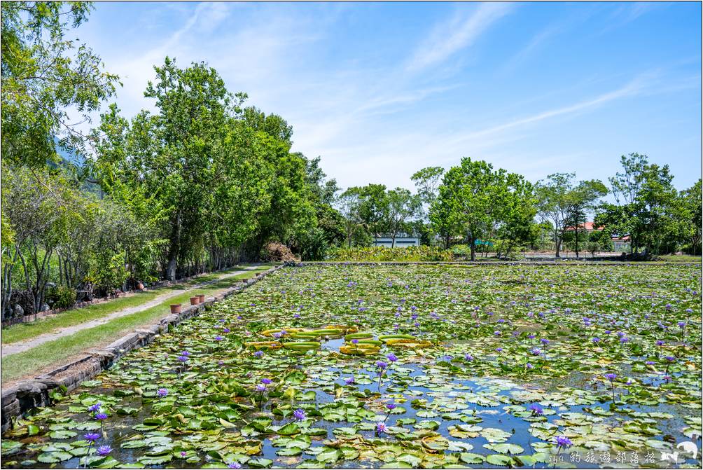 蓮城蓮花園