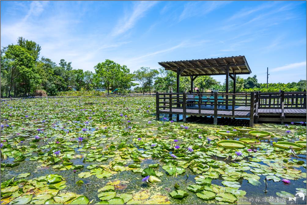 蓮城蓮花園