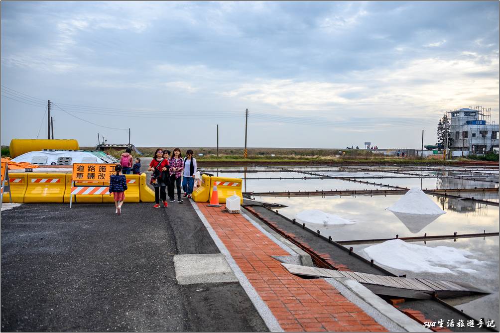 沿著鹽田走往右前方建築旁的海堤，即可觀賞黑腹燕鷗。