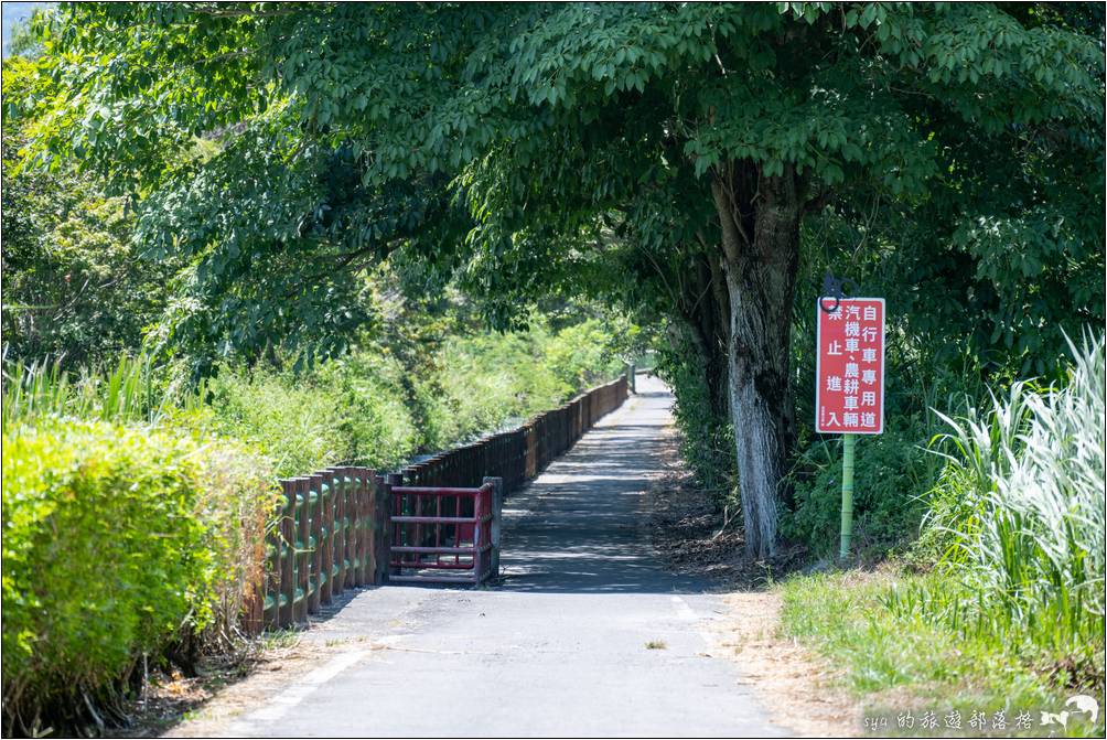 初英自行車道 初英親水線