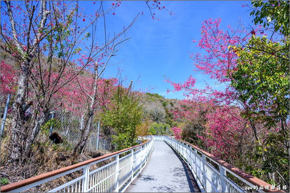 清境高空觀景步道