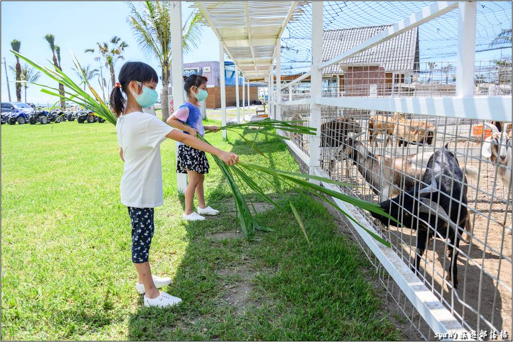 崇德瑩農場 動物親近區