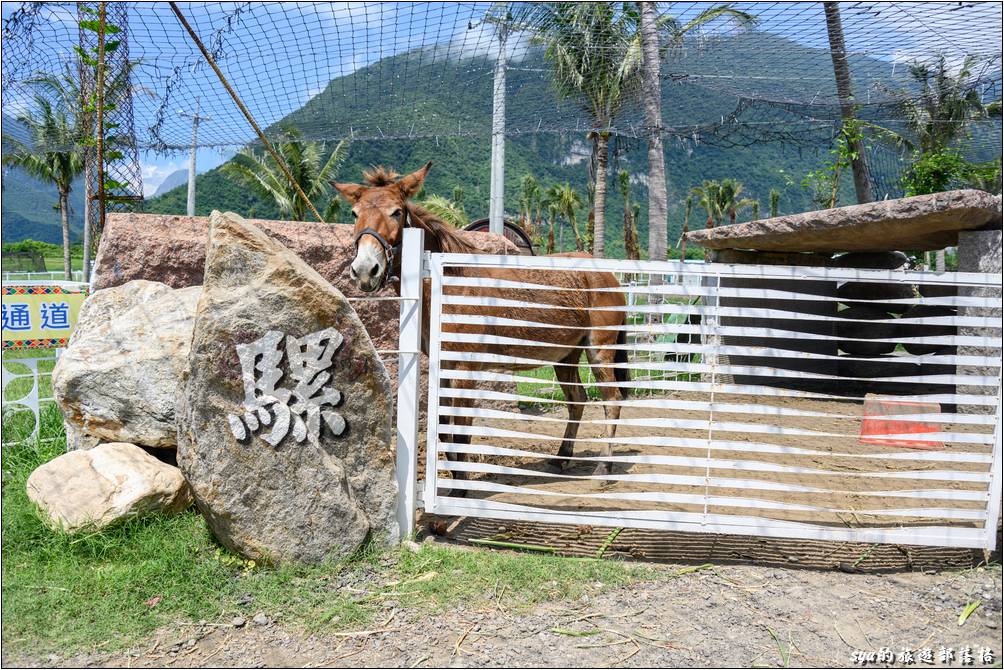 崇德瑩農場 動物親近區