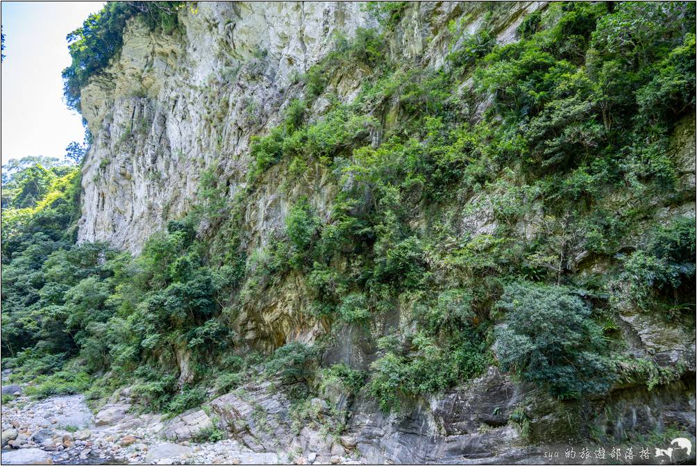 步道對岸整片的大岩壁與上頭的大片樹林頗為壯觀