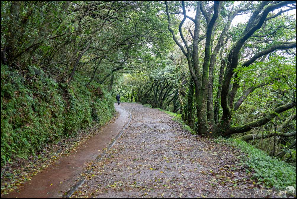 輕鬆、沒有難度的二子坪步道