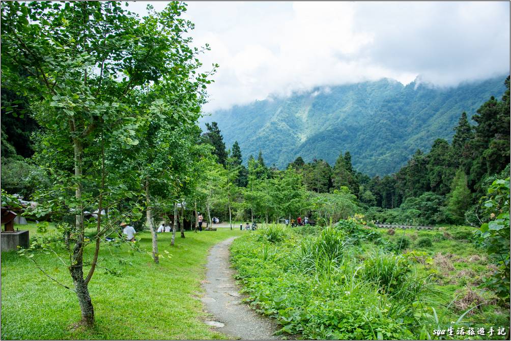 溪頭森林遊樂區 溪頭自然教育園區 森林城堡