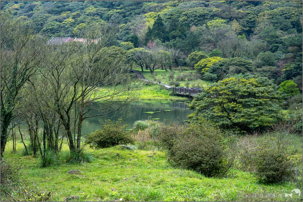 擁有超幽靜美景的大屯自然公園