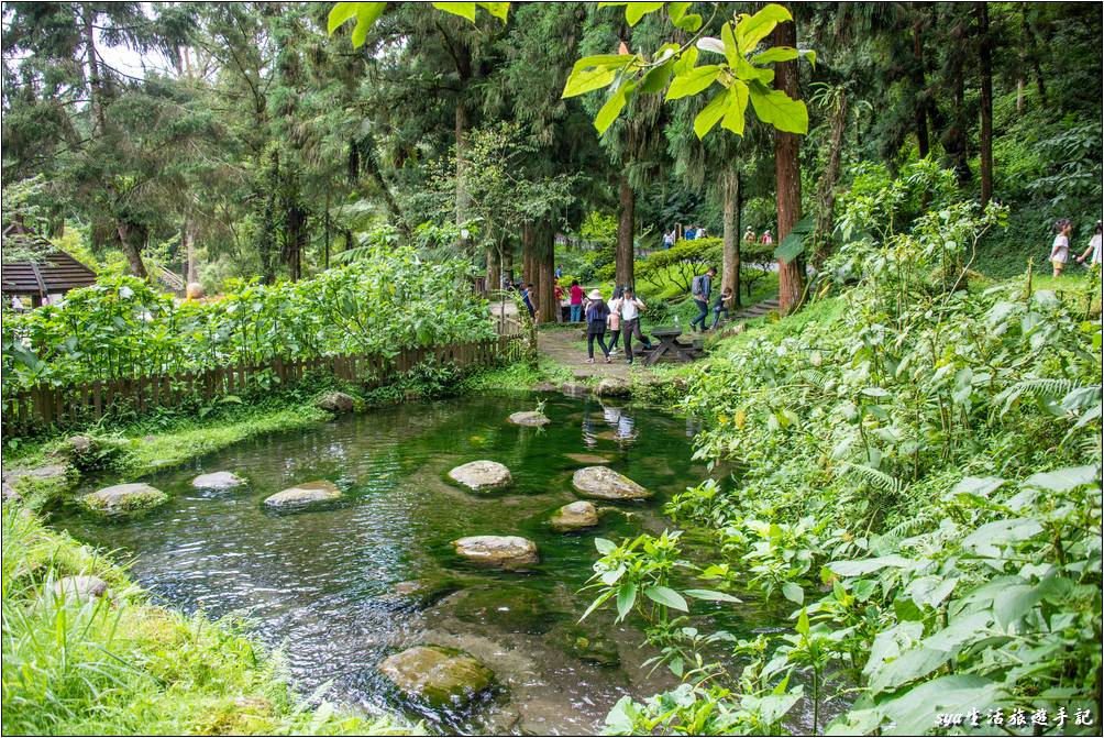 溪頭森林遊樂區 溪頭自然教育園區 大學池旁一景