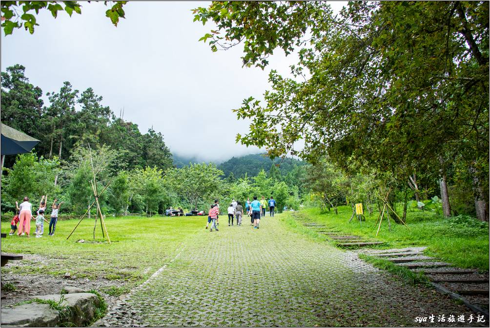 溪頭森林遊樂區 溪頭自然教育園區 神木步道沿線景點