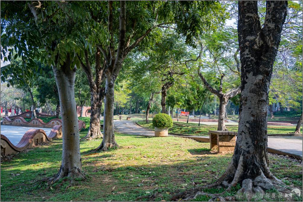 嘉義公園植栽扶疏