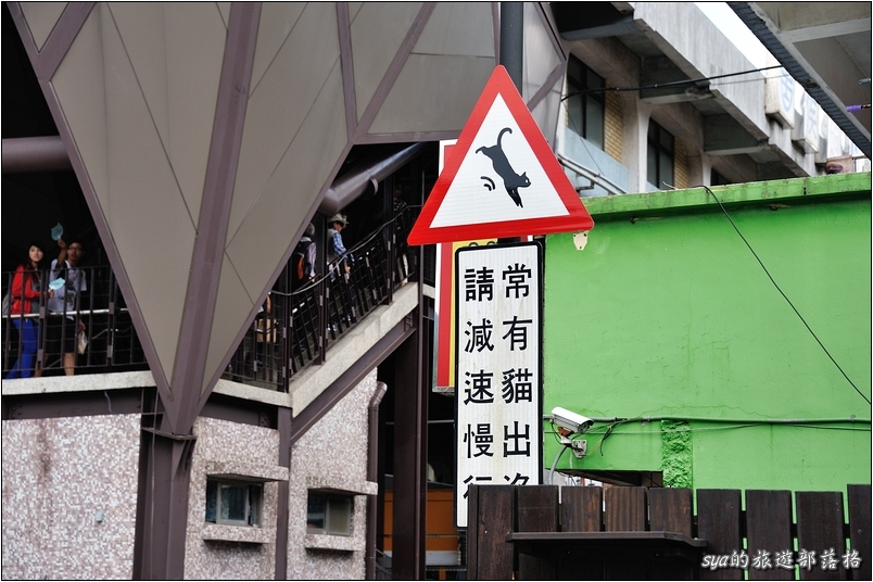 【台北 景點】貓村。侯硐