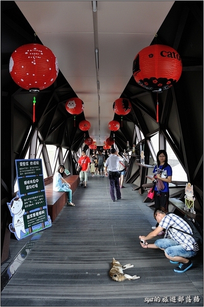 【台北 景點】貓村。侯硐