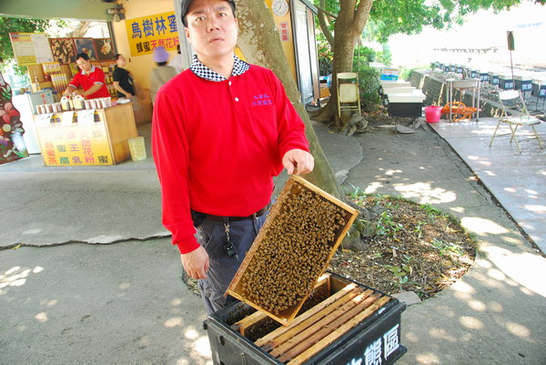【台南 生態景點】黑面琵鷺的保育地。曾文溪口