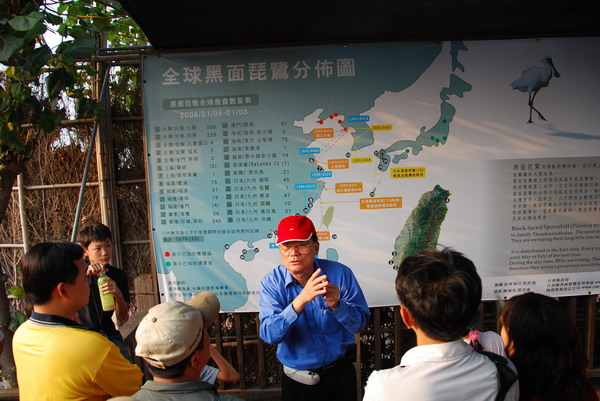 【台南 生態景點】黑面琵鷺的保育地。曾文溪口