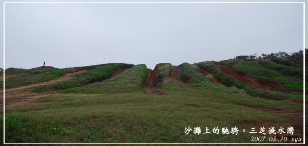 沙灘上的馳騁。三芝淺水灣