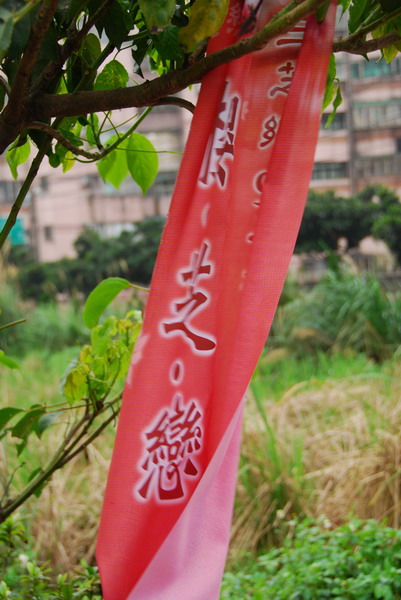 沙灘上的馳騁。三芝淺水灣