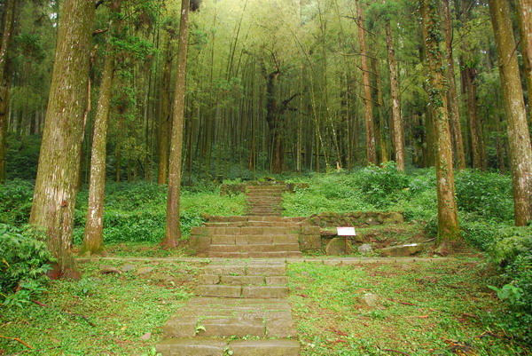 【嘉義 景點】奮起湖 | 阿里山歷史的驛站