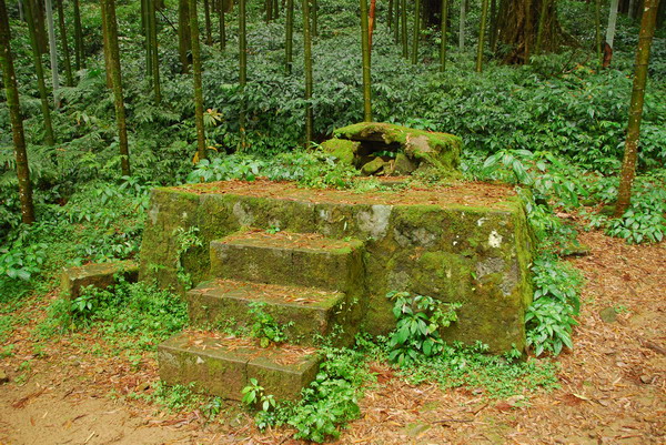 【嘉義 景點】奮起湖 | 阿里山歷史的驛站