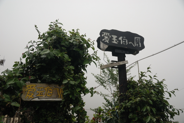 【嘉義 景點】奮起湖 | 阿里山歷史的驛站