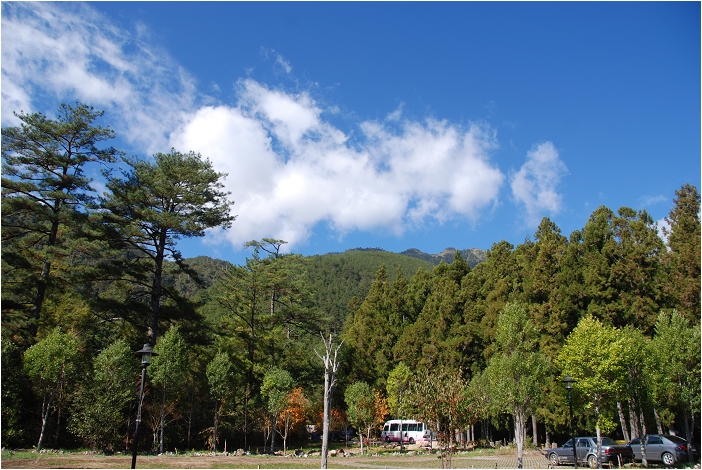 【台中 景點】武陵農場。雪霸國家公園 | 秋楓、落羽松