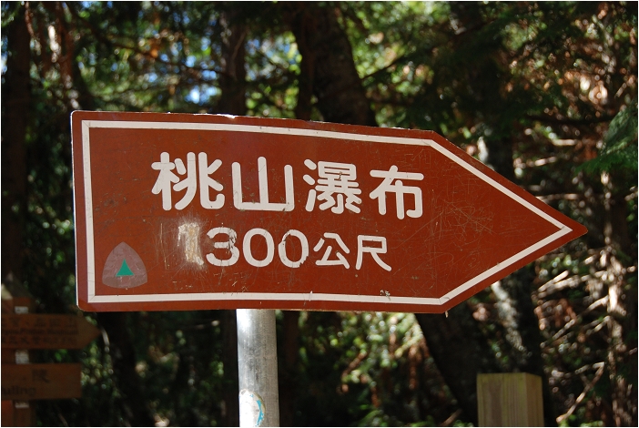 【台中 景點】武陵農場。雪霸國家公園 | 秋楓、落羽松