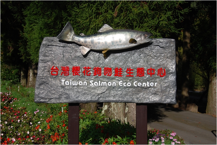 【台中 景點】武陵農場。雪霸國家公園 | 秋楓、落羽松