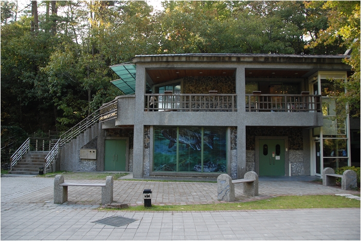 【台中 景點】武陵農場。雪霸國家公園 | 秋楓、落羽松