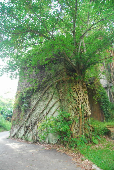 【苗栗 景點】龍騰斷橋 | 昔日台灣鐵路的藝術極品