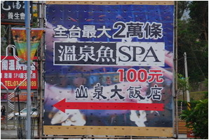 【宜蘭】另類的腳底按摩。溫泉魚SPA