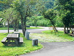 2008 FIH 花蓮之旅