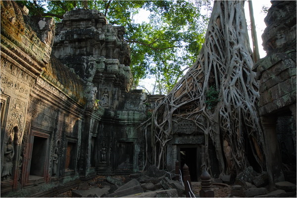 【吳哥】塔普倫寺 Ta prohm Temple | 古墓奇兵中被大樹吞噬的古廟場景