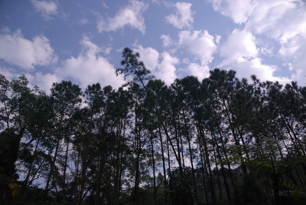 【苗栗 景觀餐廳】巴巴坑道 | 爸爸的坑道