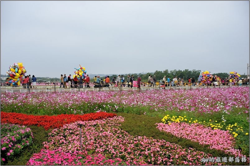 【台中 花季】新社花海 | 2013台中國際花毯節