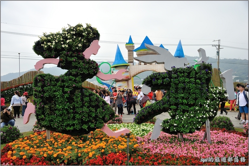 【台中 花季】新社花海 | 2013台中國際花毯節