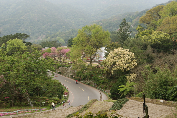 【台北 景點】台北的後花園。陽明山