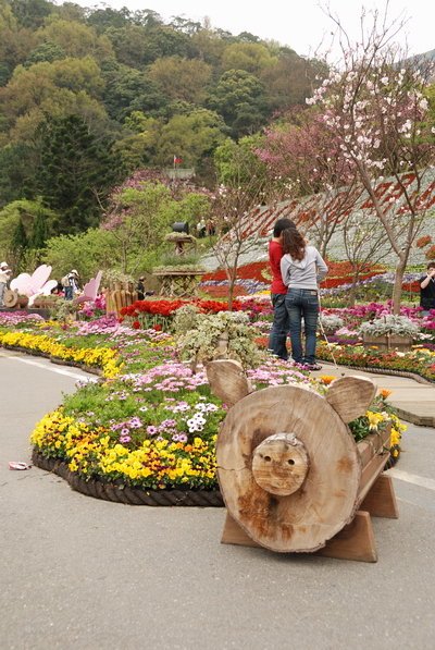 【台北 景點】台北的後花園。陽明山