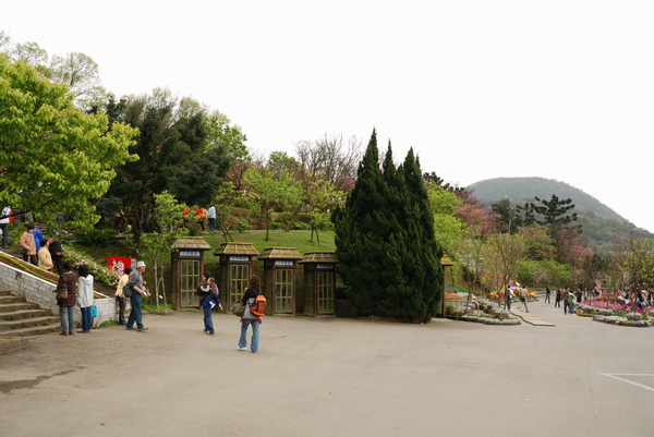 【台北 景點】台北的後花園。陽明山