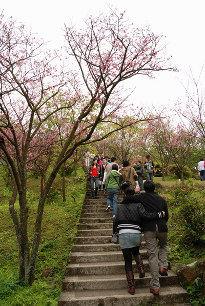 【台北 景點】台北的後花園。陽明山