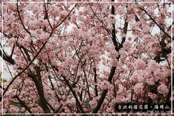 時尚台北。台北推薦景點美食總整理