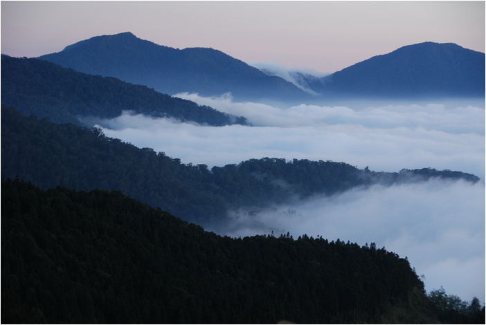 阿里山 | 日出、雲海、鐵路、森林、晚霞 (上)