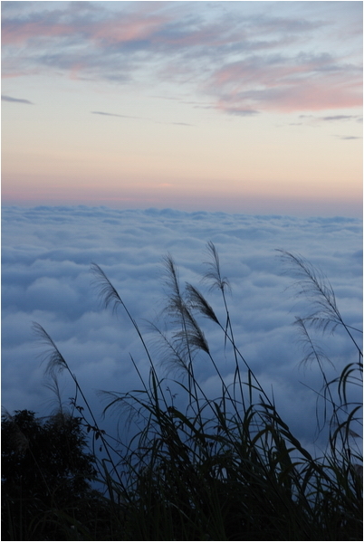 阿里山 | 日出、雲海、鐵路、森林、晚霞 (上)
